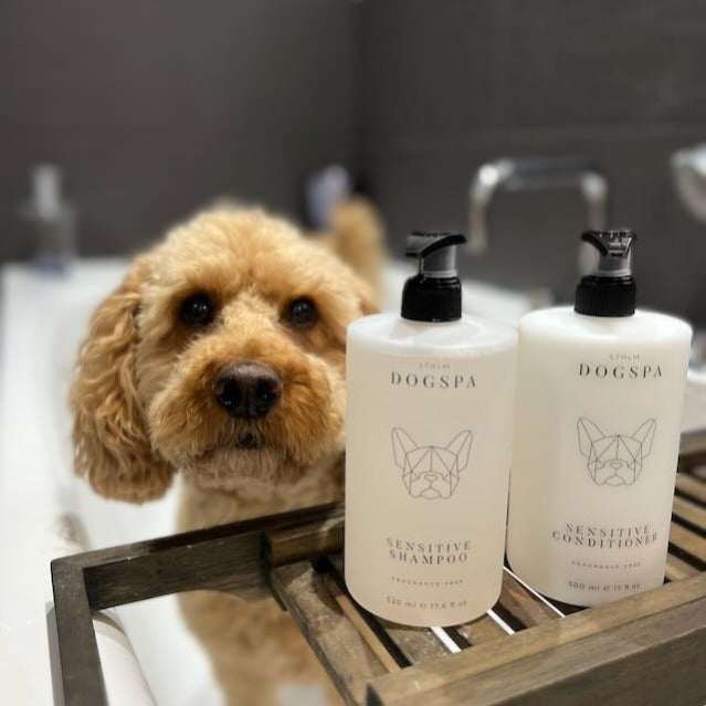 We won! Best Dog Shampoo in UK 2024! STHLM DOGSPA