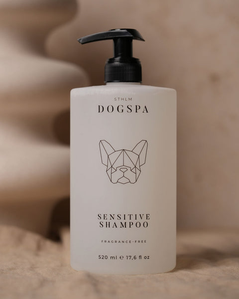 The Best Dog Shampoos and Conditioners for Happy, Healthy Pups