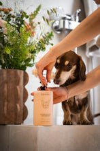 Ladda upp bild till gallerivisning, Återfuktande hundschampo med doft av Jasmine
